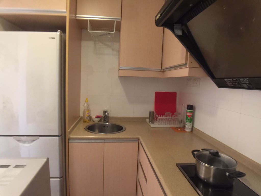 Condo Whole Unit for Rent in Downtown Core · 10 Anson Road, 079903 · S$ 3,500/mo - Image 5 of 9