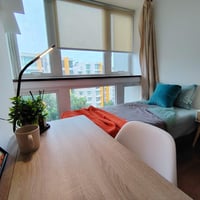Condo Common Room for Rent at 22 Simei Rise, Tampines - Image 5 of 6 - Thumbnail
