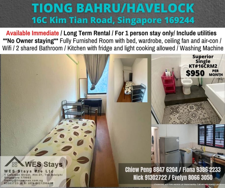 Condo Common Room for Rent in Bukit Merah · 16C Kim Tian Road, 169251 · S$ 950/mo - Image 1 of 9