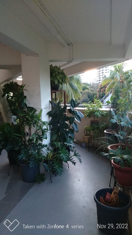 HDB Whole Unit for Rent in Kallang · 8 Saint Georges Lane, 320008 · S$ 2,699/mo - Image 5 of 5