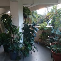 Kallang HDB Whole Unit for Rent – 8 Saint Georges Lane - Image 5 of 5 - Thumbnail