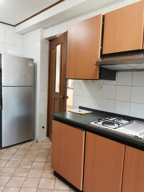 Tanglin Condo Whole Unit for Rent – 53B Grange Road - Image 5 of 9