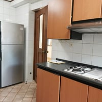 Tanglin Condo Whole Unit for Rent – 53B Grange Road - Image 5 of 9 - Thumbnail
