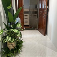 Yishun Condo Common Room for Rent – 87 Yishun Street 81 - Image 4 of 5 - Thumbnail