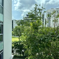 403 Havelock Road · Condo Whole Unit for Rent · Singapore River - Image 7 of 10 - Thumbnail