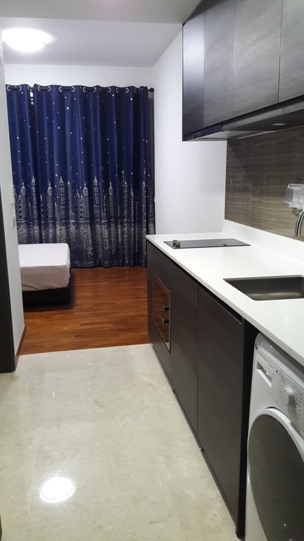Condo Whole Unit for Rent in Sengkang · 29 Fernvale Close, 797464 · S$ 2,400/mo - Image 3 of 8