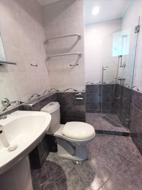 Tanglin Condo Whole Unit for Rent – 53B Grange Road - Image 9 of 9