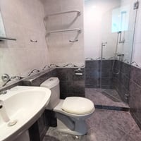 Tanglin Condo Whole Unit for Rent – 53B Grange Road - Image 9 of 9 - Thumbnail