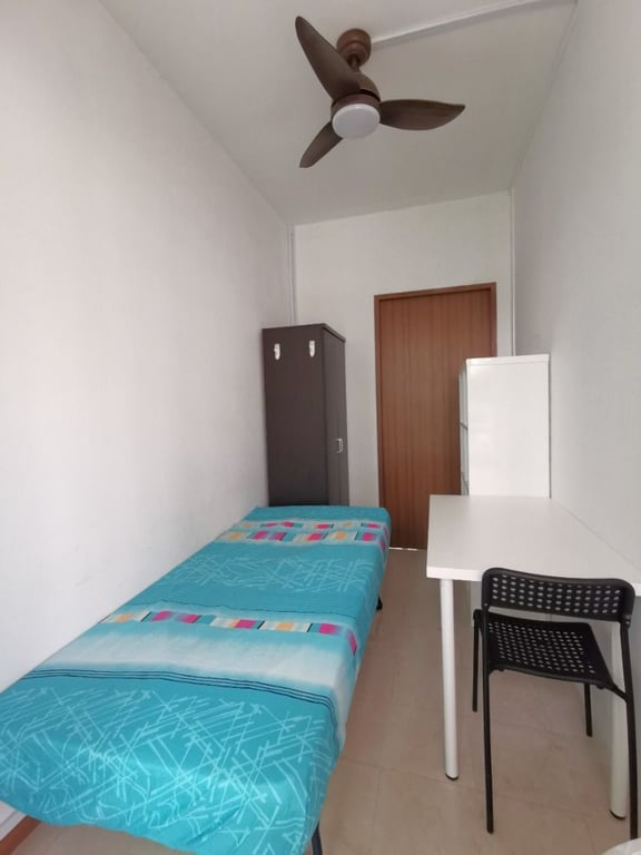 Condo Common Room for Rent in Novena · 245 Balestier Road, 329929 · S$ 950/mo - Image 3 of 7