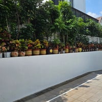 Landed Master Room for Rent at Toh Yi Drive, Bukit Timah - Image 14 of 15 - Thumbnail