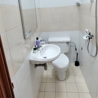 Queenstown Condo Common Room for Rent – 32 Dover Rise - Image 6 of 9 - Thumbnail