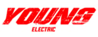youngelectricbikes auto coupons