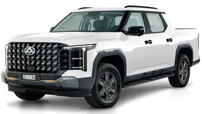 LDV Terron 9 exterior view
