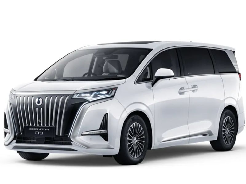 Denza D9
