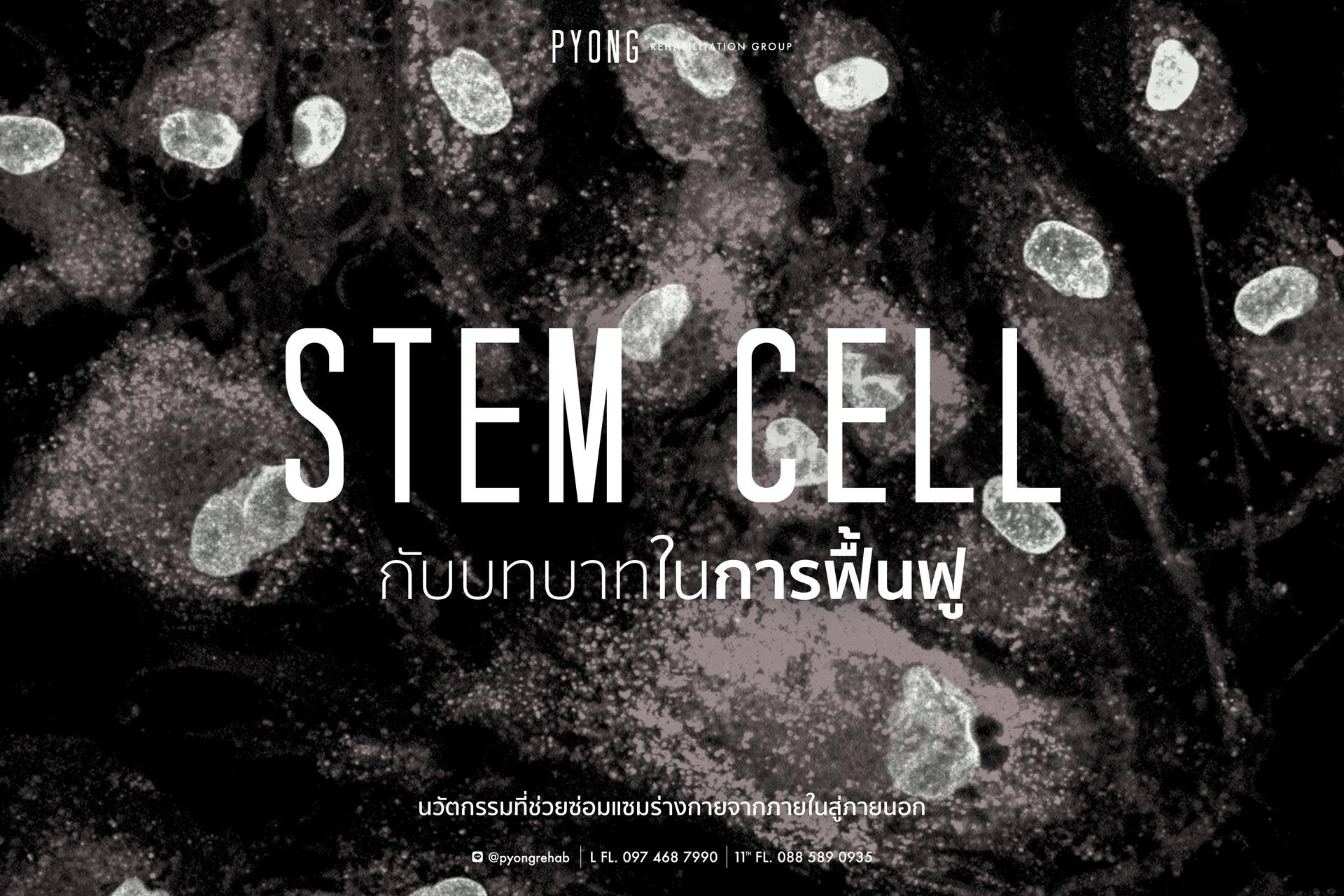Treatment stem cells 03