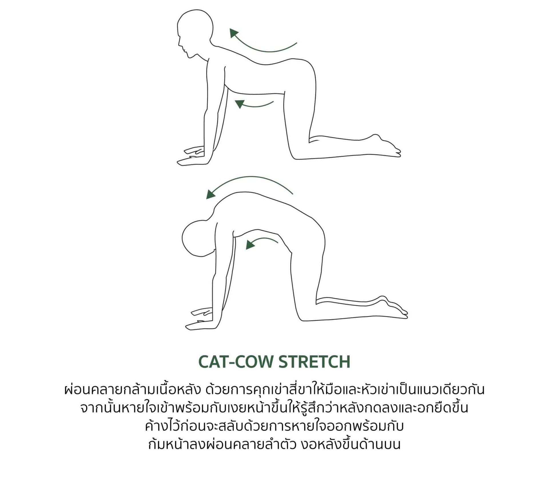 ภาพสาธิตท่าบริหารแก้หลังค่อม ท่าที่ 4