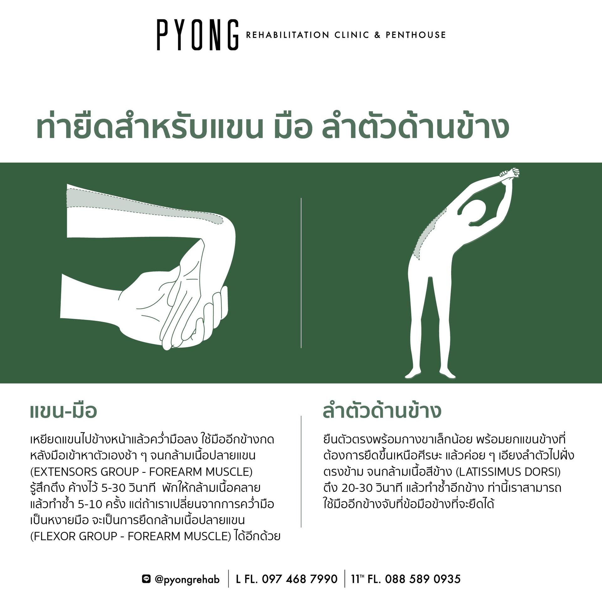 AW content ท่ายืดสำหรับทั้งร่างกาย 10