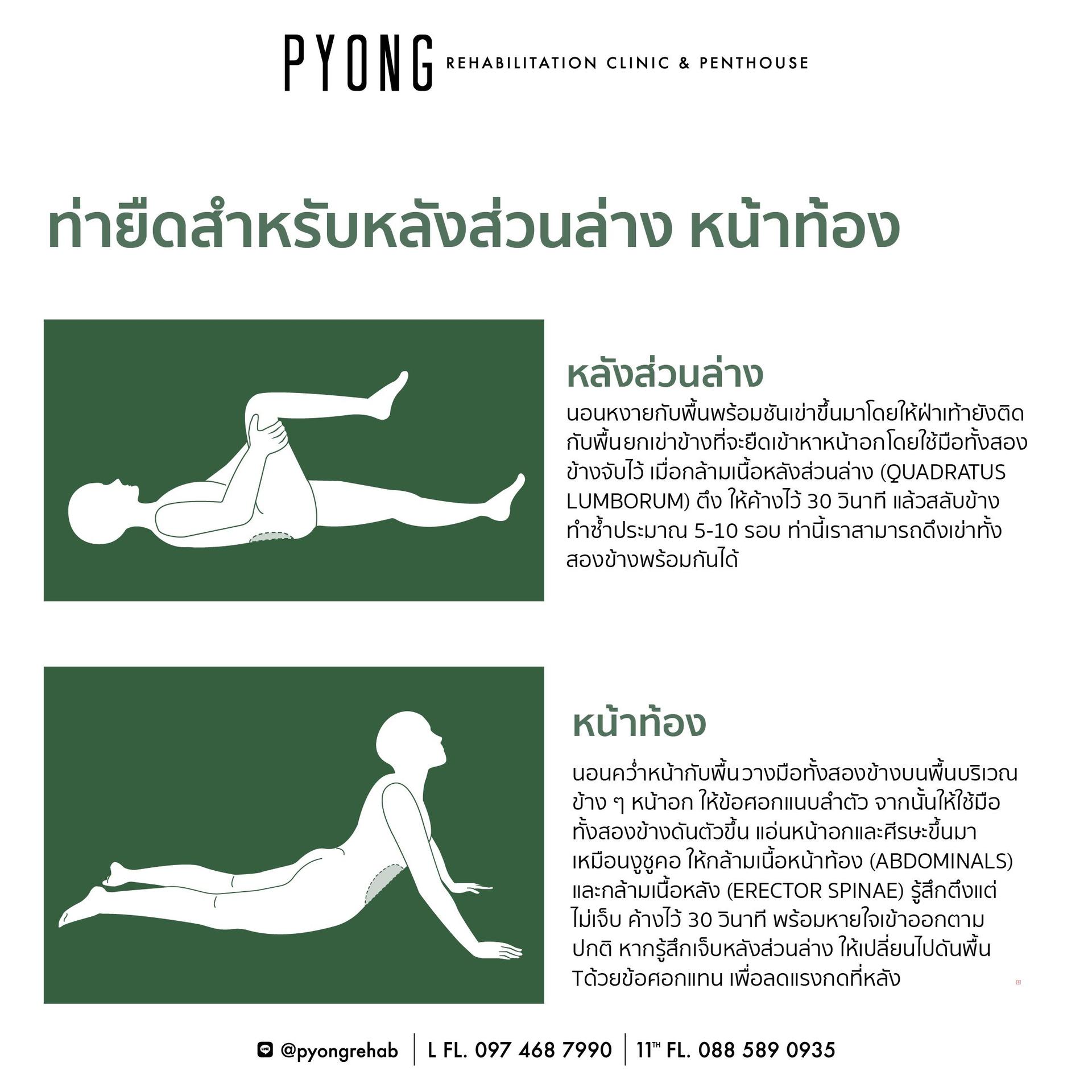 AW content ท่ายืดสำหรับทั้งร่างกาย 11