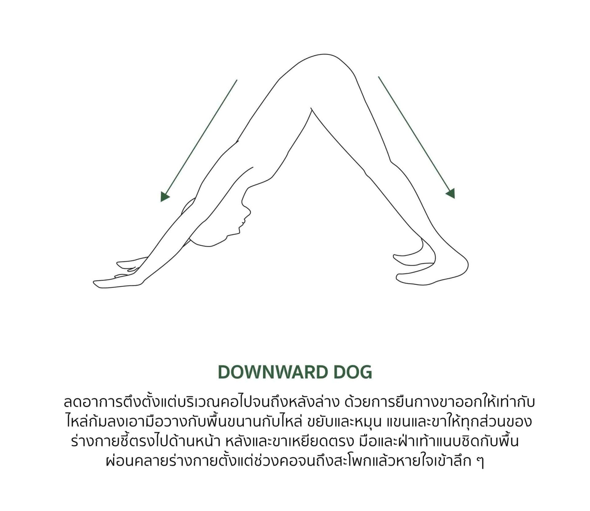ภาพสาธิตท่าบริหารแก้หลังค่อม ท่าที่ 2