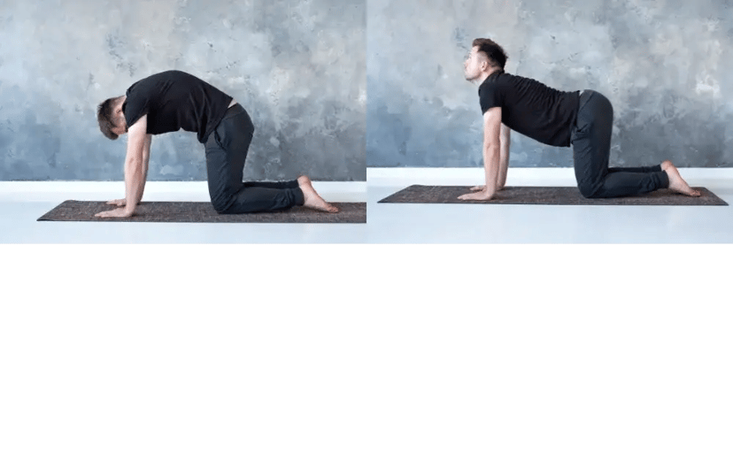 เล่นโยคะแก้ปวดหัวไมเกรนท่าแมว-วัว (Cat-Cow Pose)