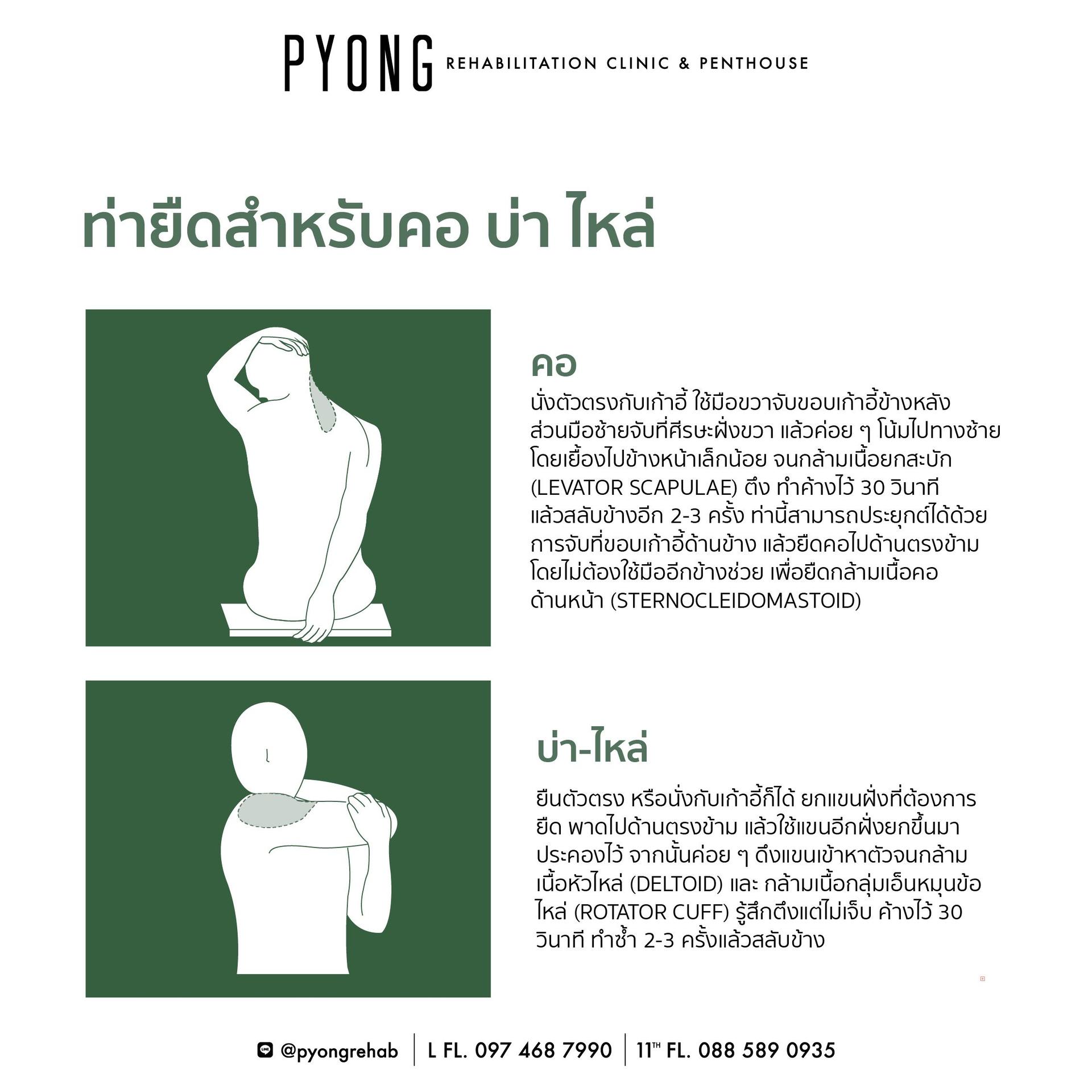 AW content ท่ายืดสำหรับทั้งร่างกาย 08