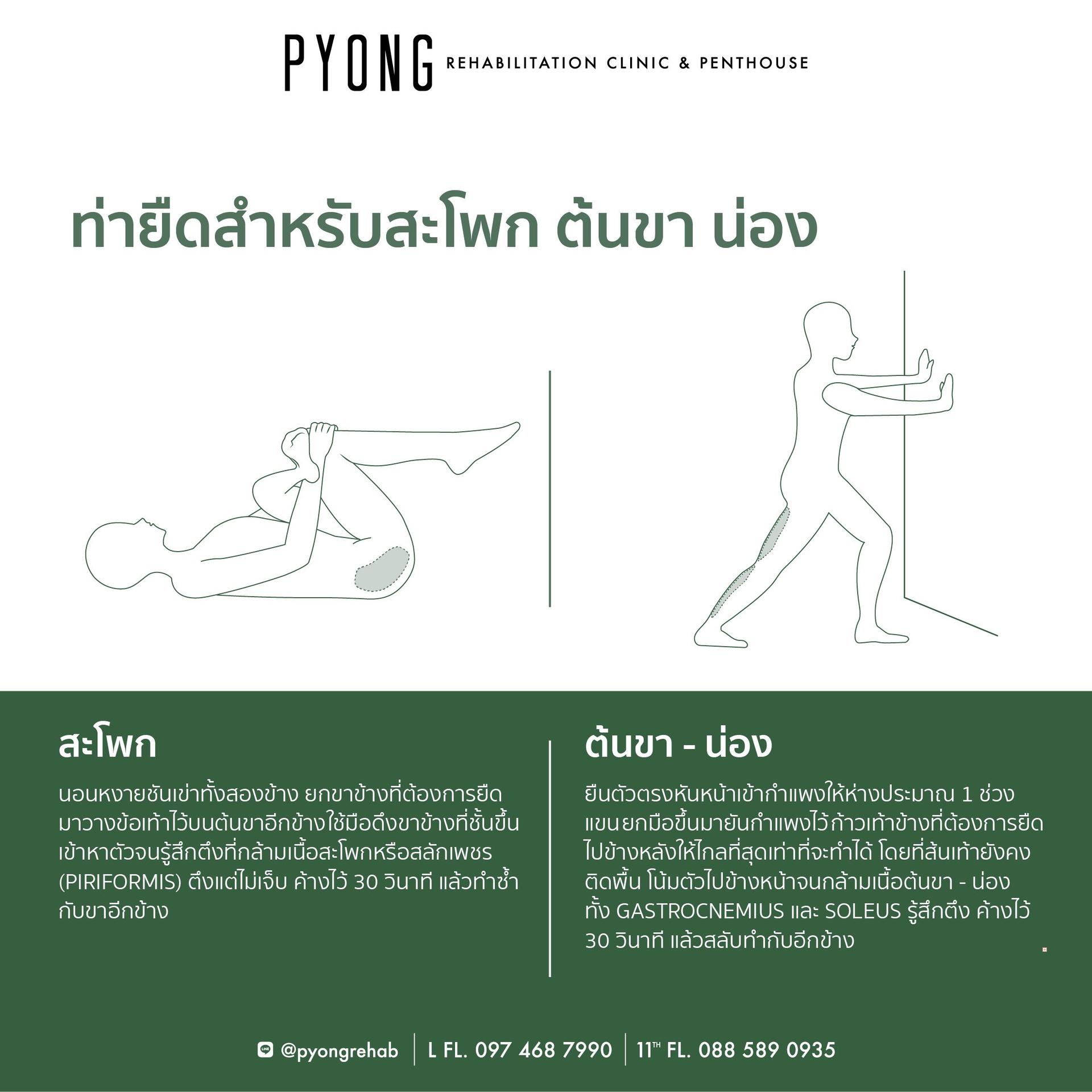 AW content ท่ายืดสำหรับทั้งร่างกาย 12