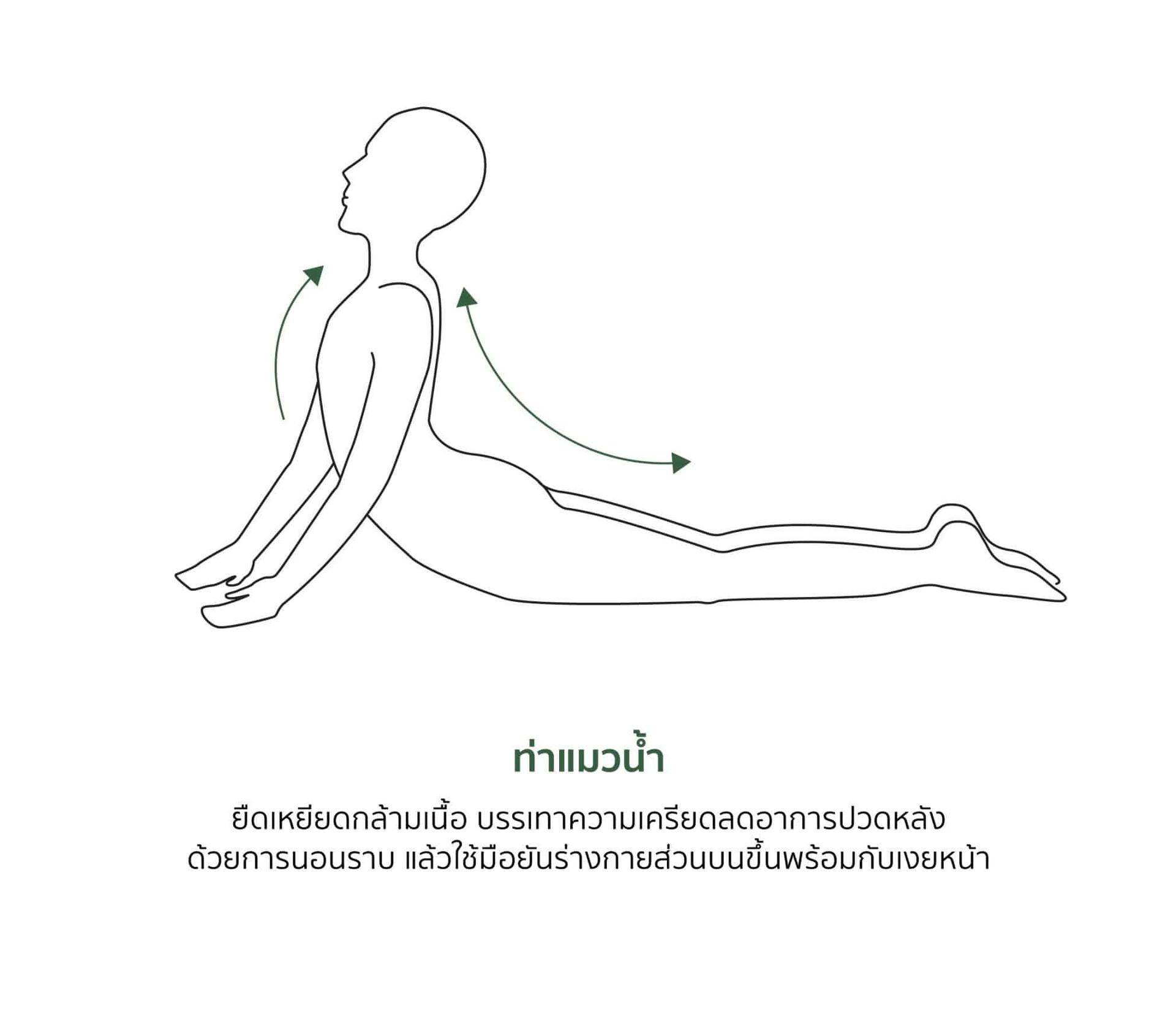 ภาพสาธิตท่าบริหารแก้หลังค่อม ท่าที่ 1