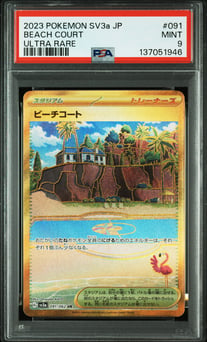 BEACH COURT