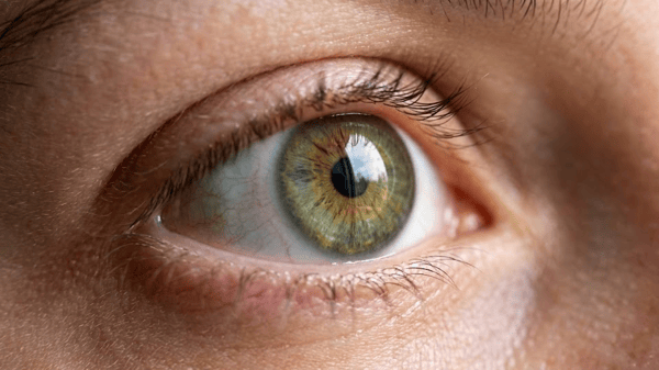 Slot #0033 sales-os-narrative-authenticity: Shifting from distorted storytelling to 1:1 scale narratives. / [0033] sales-os-narrative-authenticity: 歪んだストーリーを捨て、1/1スケールのナラティブ（自ら語る物語）へ。