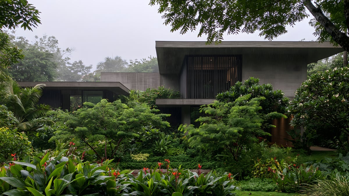 Shadow - Minimal × Tropical savannah — GARDEN