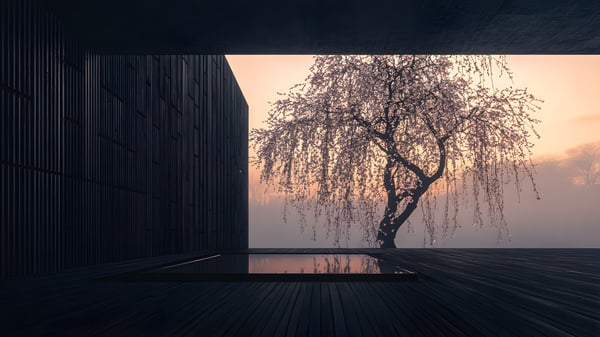 [G331] Light Garden  — Ashiya Yamate