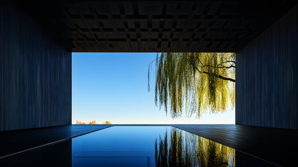 [G431] Reflection Garden  — Ashiya Yamate