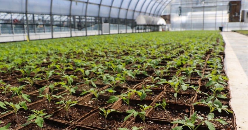 ‘Get Growing, Victoria’ program receives BCRPA award for innovation and positive impact
