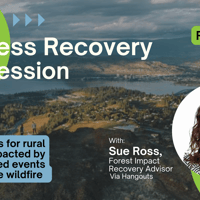 Business Recovery Info Session