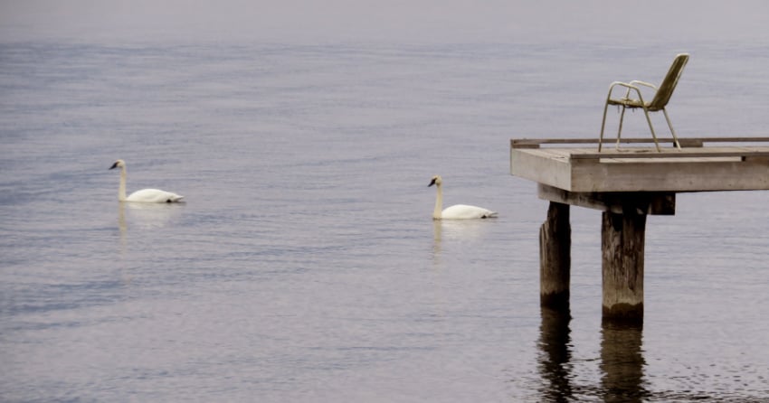 Kelowna weather: Rainy Friday in the cards