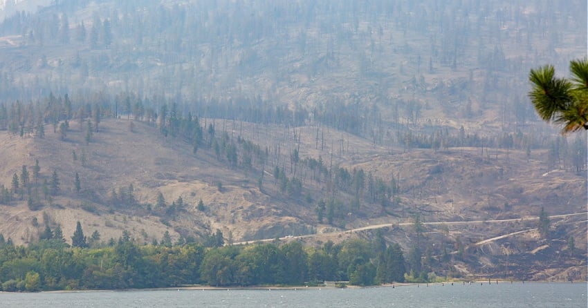 PHOTOS: Smoke lifts to show the scars from fire around Westside Road