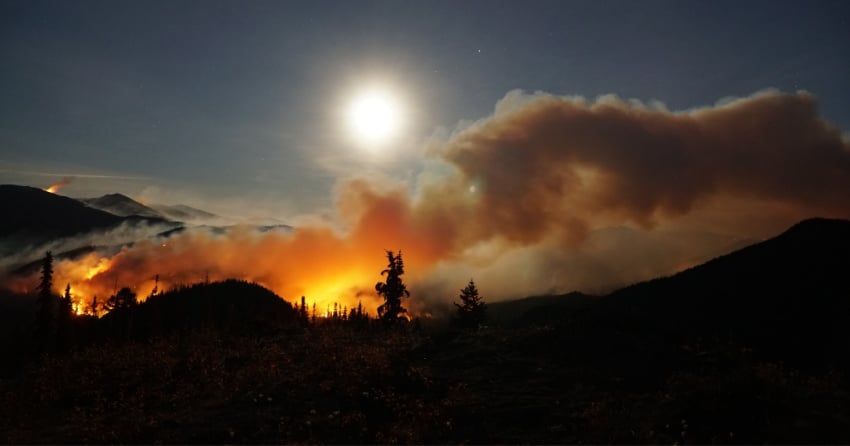 <who> Photo Credit: BCWS </who> The wildfire burning in the E.C. Manning Provincial Park on Sept. 10.