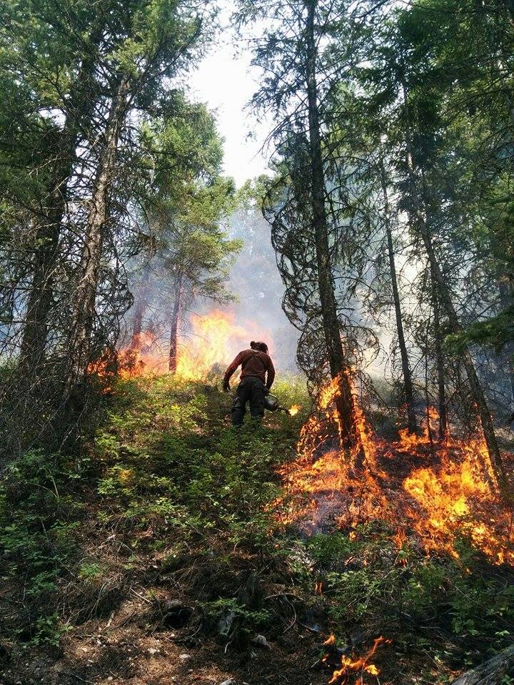 Hunters are asked to avoid areas where firefighters may be working. (Photo Credit: BC Forest Fire Info/Facebook)