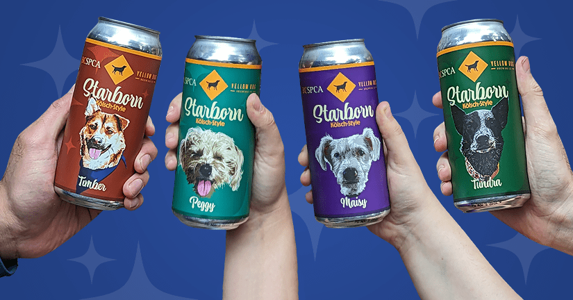 Your dog could be the face of a BC craft brew