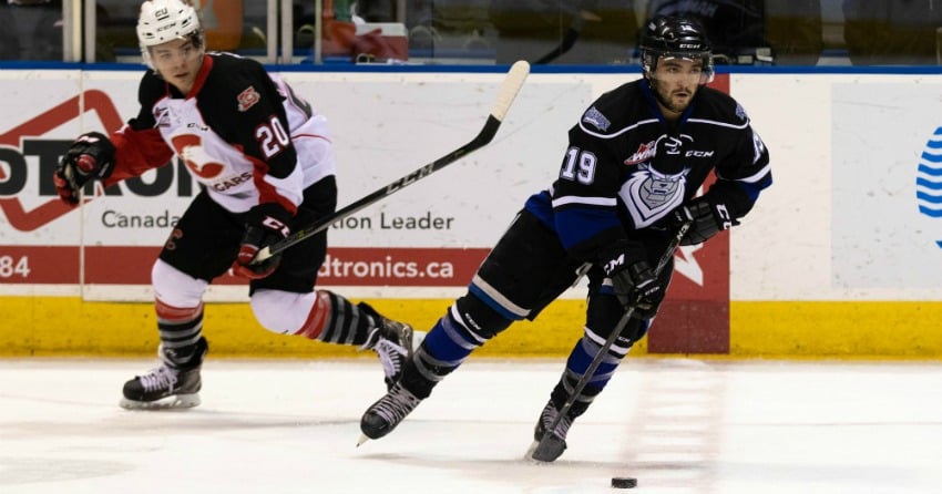 <who>Photo Credit: Prince George Cougars</who>