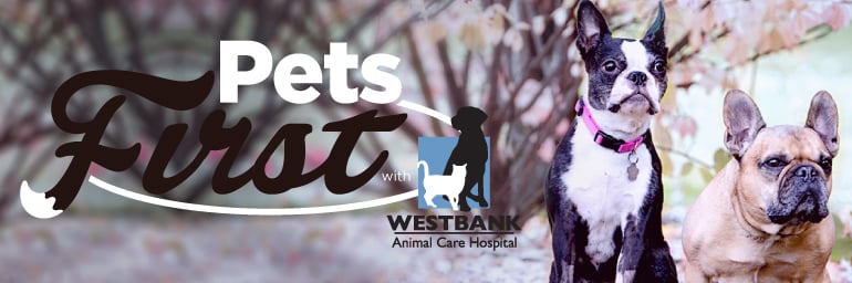 www.westbankanimalcare.ca/