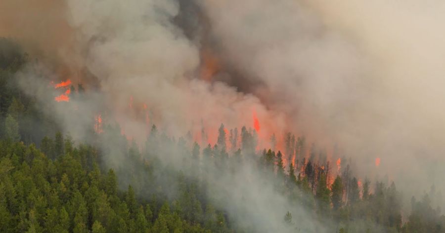 <who>Photo Credit: BC Wildfire Service/screenshot