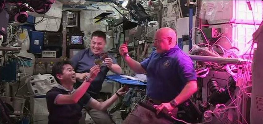 One Small Bite for Man: Astronauts Eat First Space-Grown Food