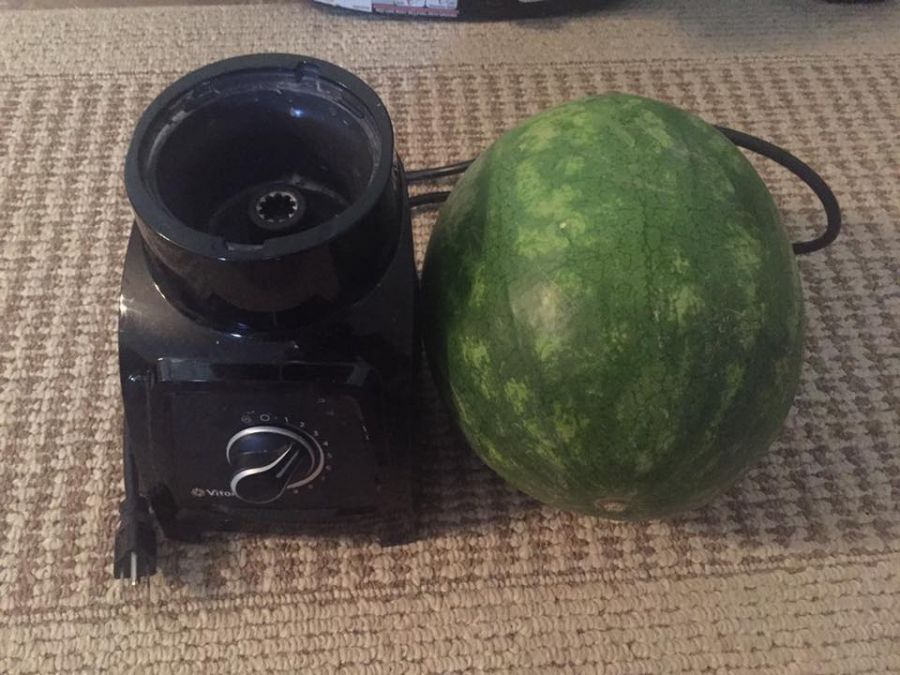<who> "I packed half a blender and a watermelon. Lol," said Vanessa Law.