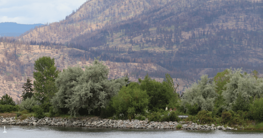 Kelowna weather: high temps, mix of sun and cloud