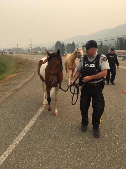 <who>Photo Credit: RCMP