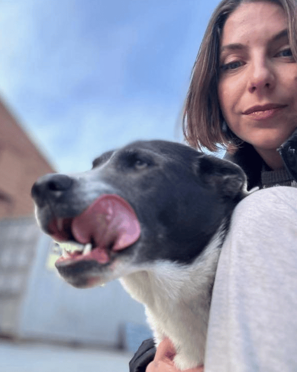 UPDATE: BC dog reunited with owners after going missing in mountains