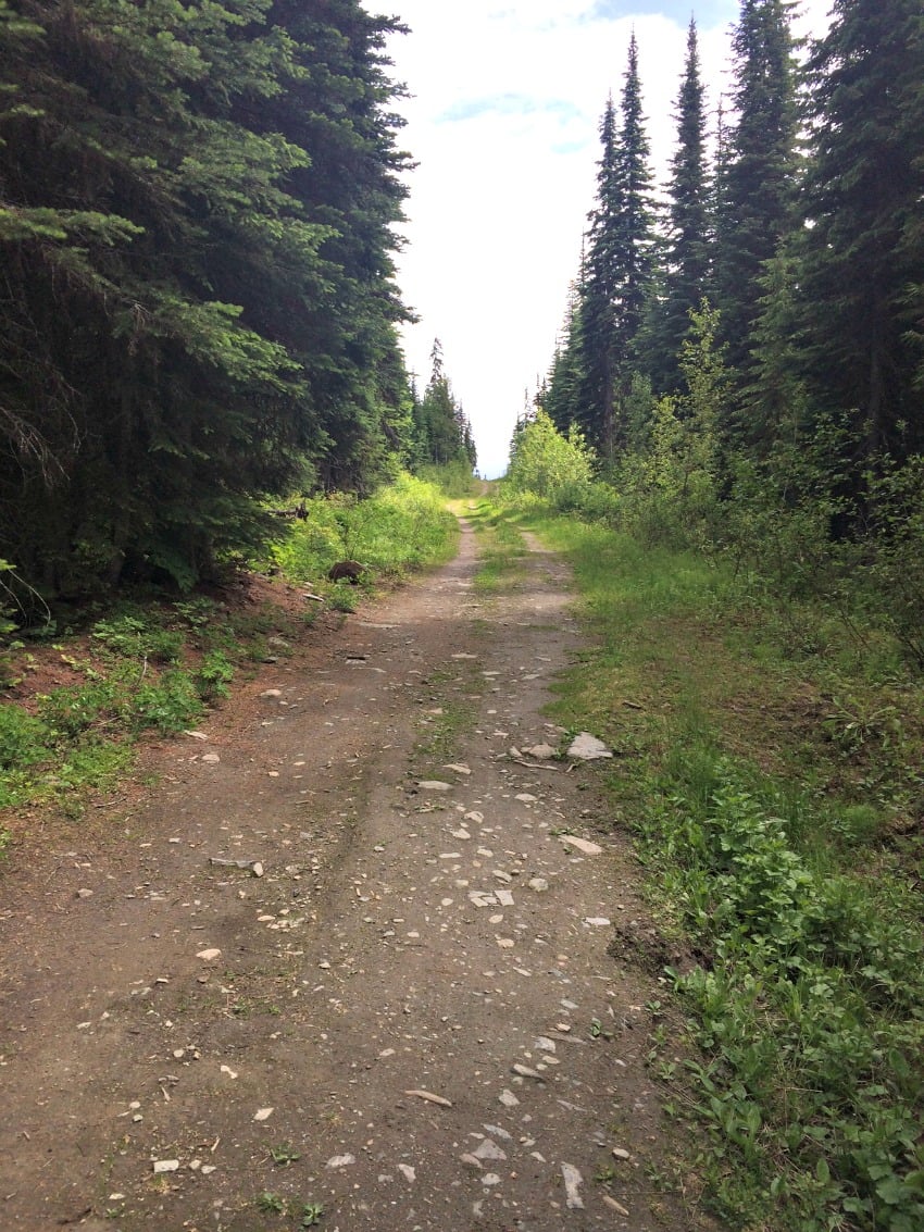 There are nearly two dozen cross-country trails to take advantage of.