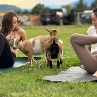 GOGA in the Magical Meadow: Goat Yoga with a Playful Twist 🐐✨