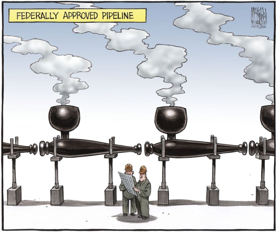 <who> Photo Credit: Bruce MacKinnon - Twitter. 